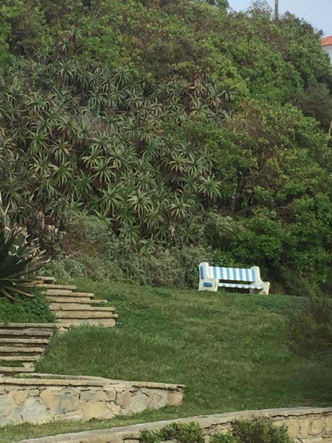 Azenhas Do Mar Cottage 辛特拉 外观 照片